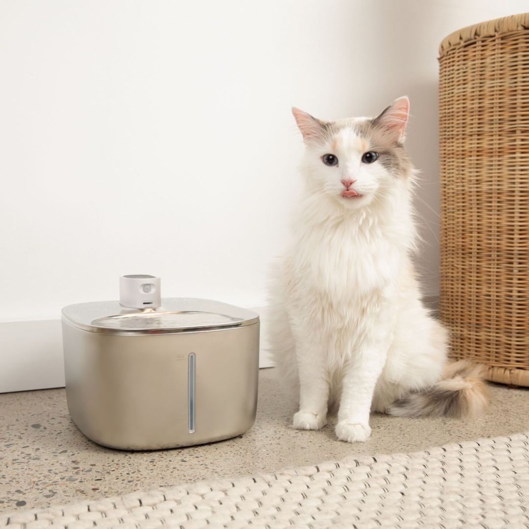 Sipurr™ | Kattefontæne