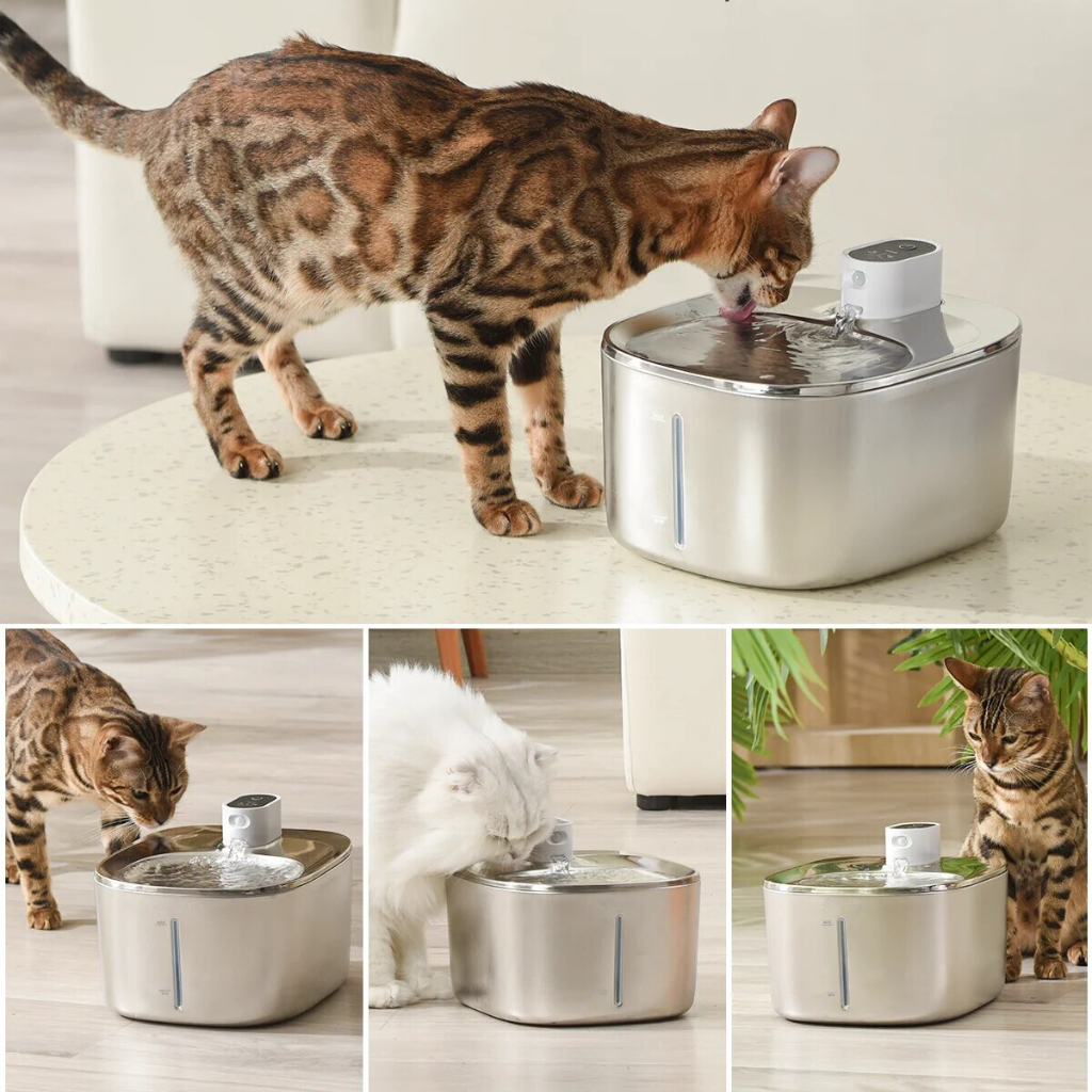 Sipurr™ | Kattefontæne