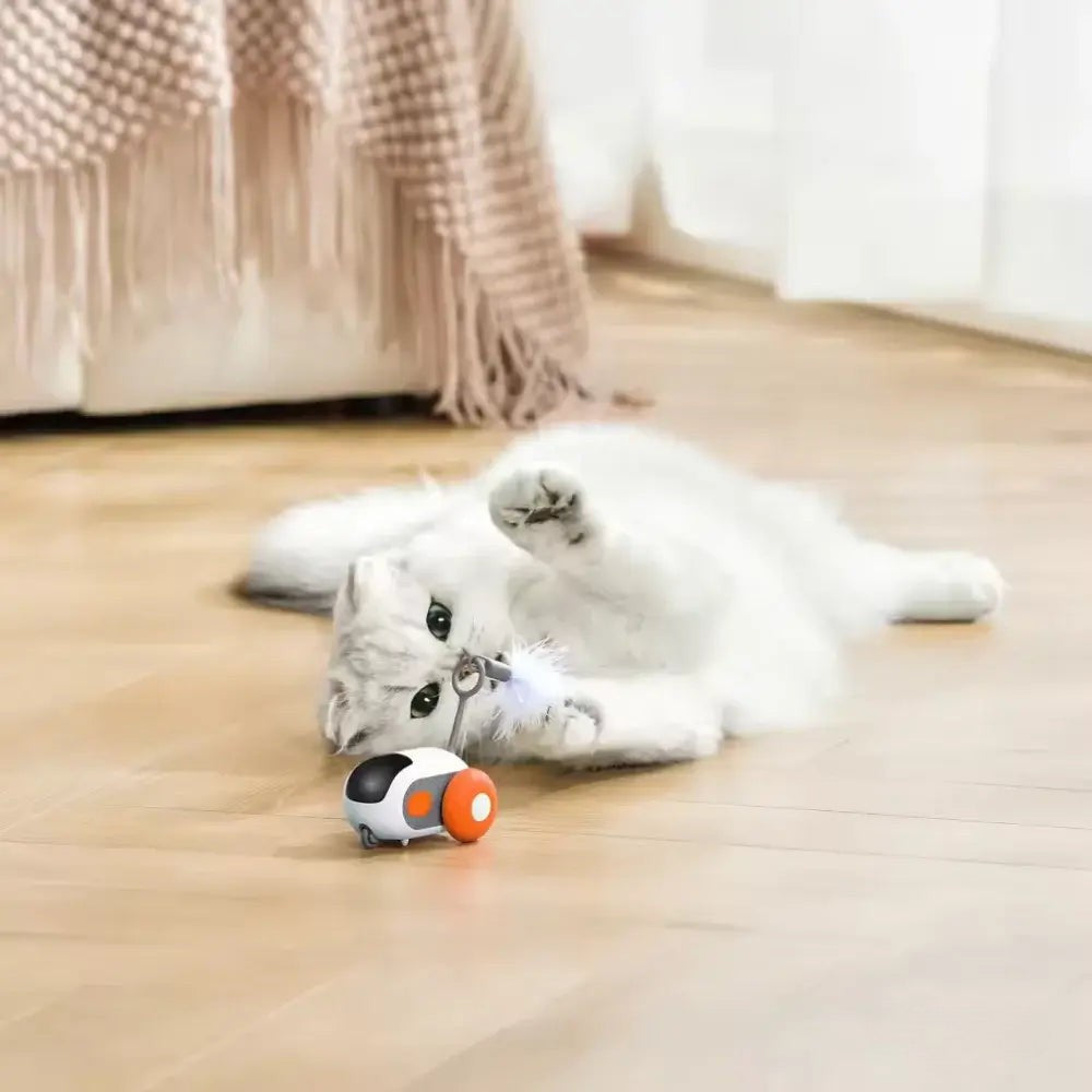 PurrBot 2.0 – Den ultimative legekammerat til din kat