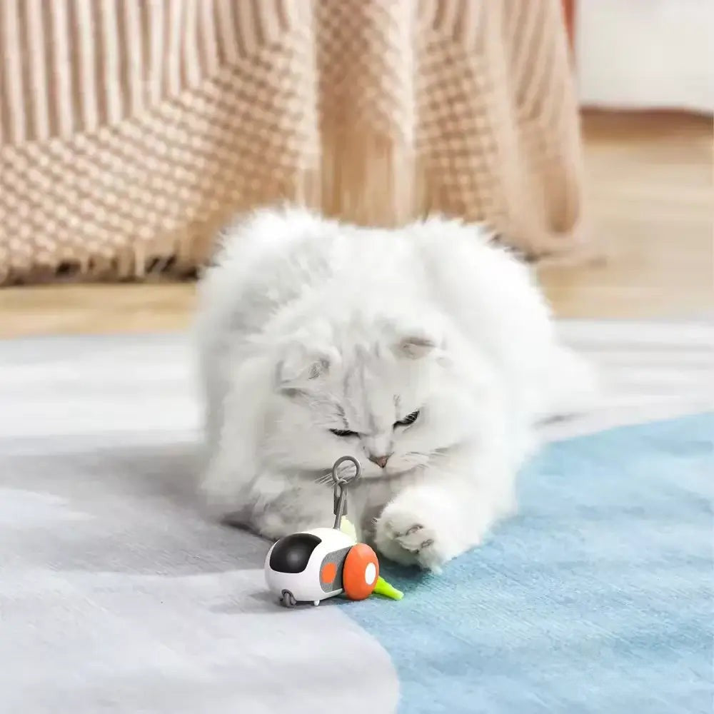 PurrBot 2.0 – Den ultimative legekammerat til din kat