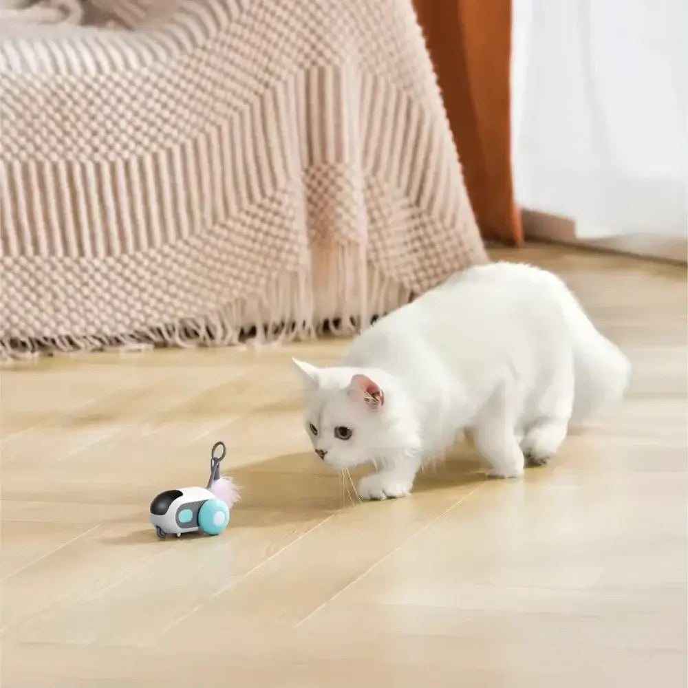 PurrBot 2.0 – Den ultimative legekammerat til din kat