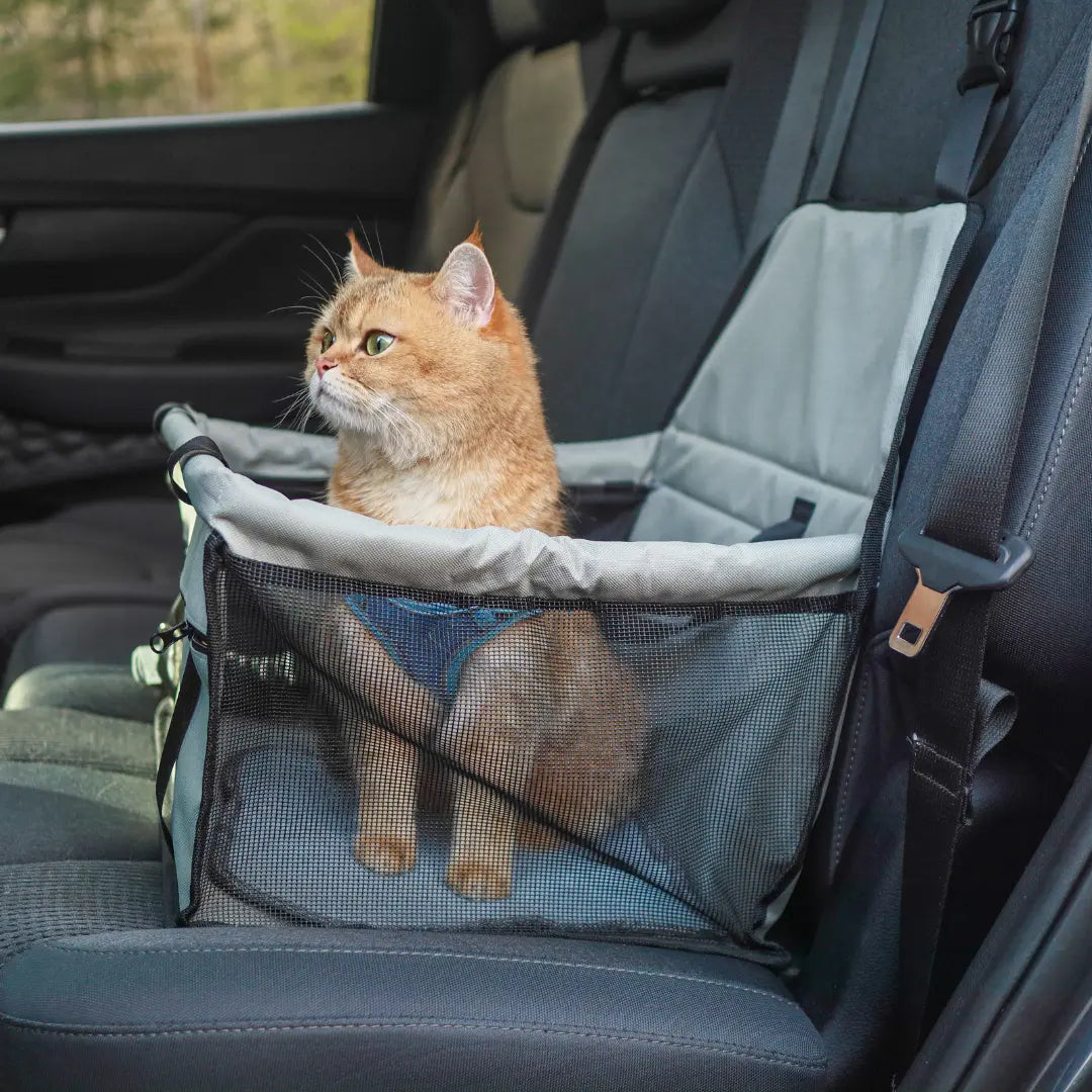PurrfectRide™ Car Seat – Luftig Komfort til Små & Mellemstore Kæledyr