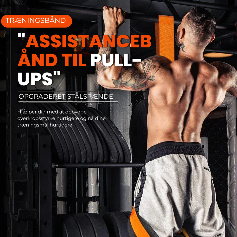 Rebounder™ | Træningsbånd til Pull-ups med Assistance