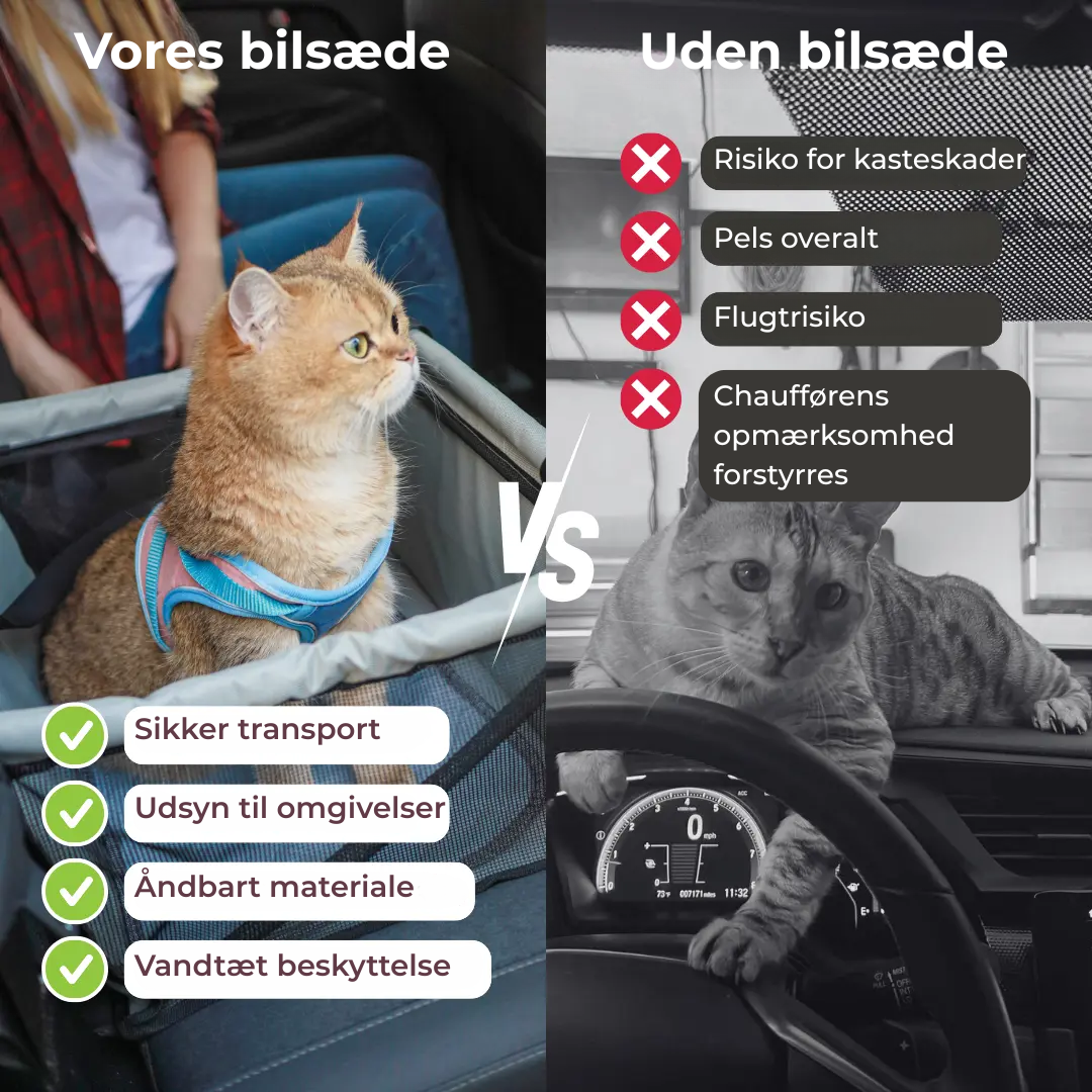 PurrfectRide™ Car Seat – Luftig Komfort til Små & Mellemstore Kæledyr