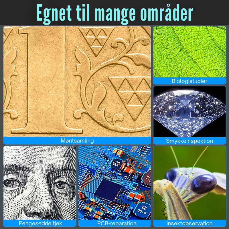 PocketZoomer™ | Digitalt HD Mikroskop